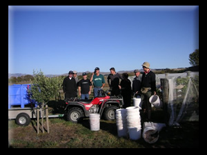 Northfield Wines Napa and Waipara