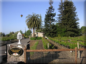 Northfield Wines Napa and Waipara