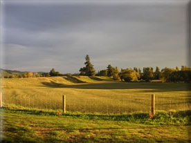Northfield Wines Napa and Waipara