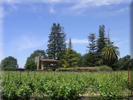 Northfield Wines Napa and Waipara