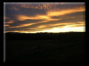 Northfield Wines Napa and Waipara