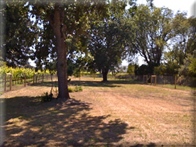 Northfield Wines Napa and Waipara